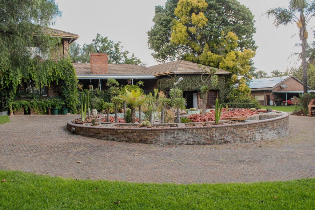 Patio Steps